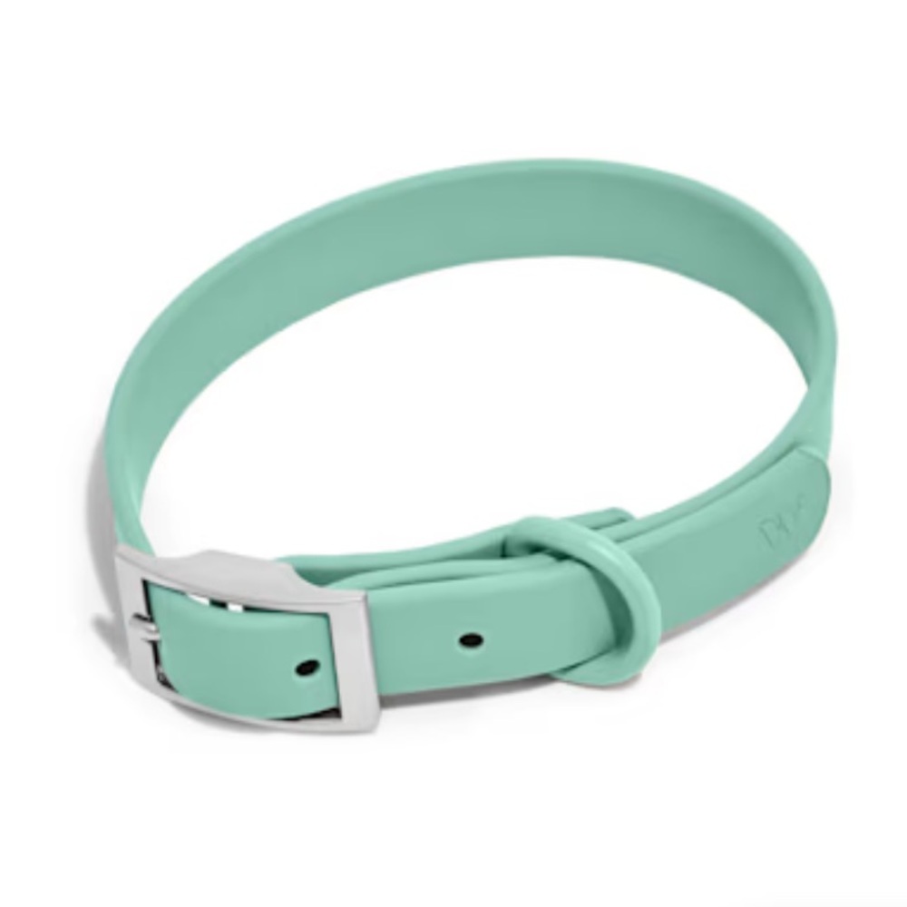 NWT Wild One Dog Collar